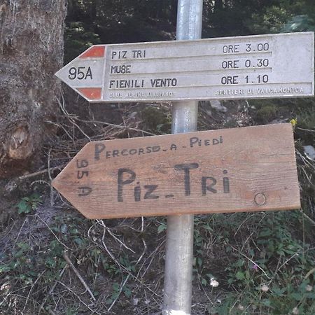 Casa Vacanza Pineta Malonno Buitenkant foto