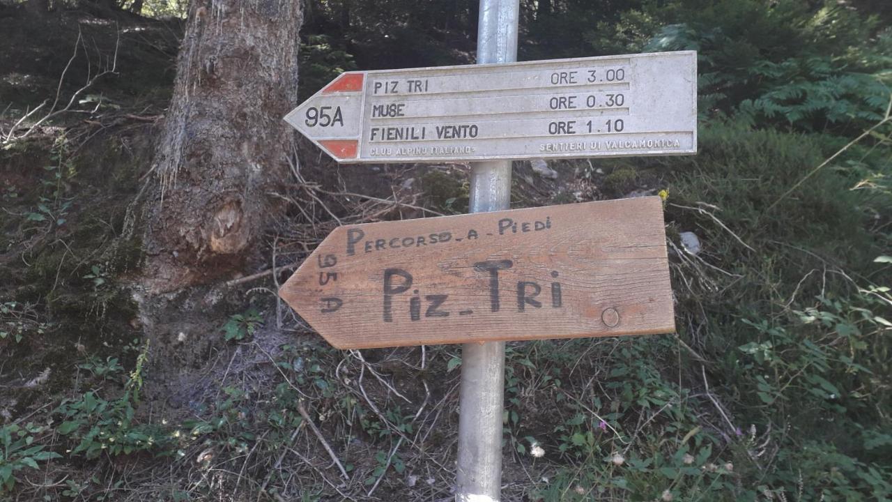 Casa Vacanza Pineta Malonno Buitenkant foto