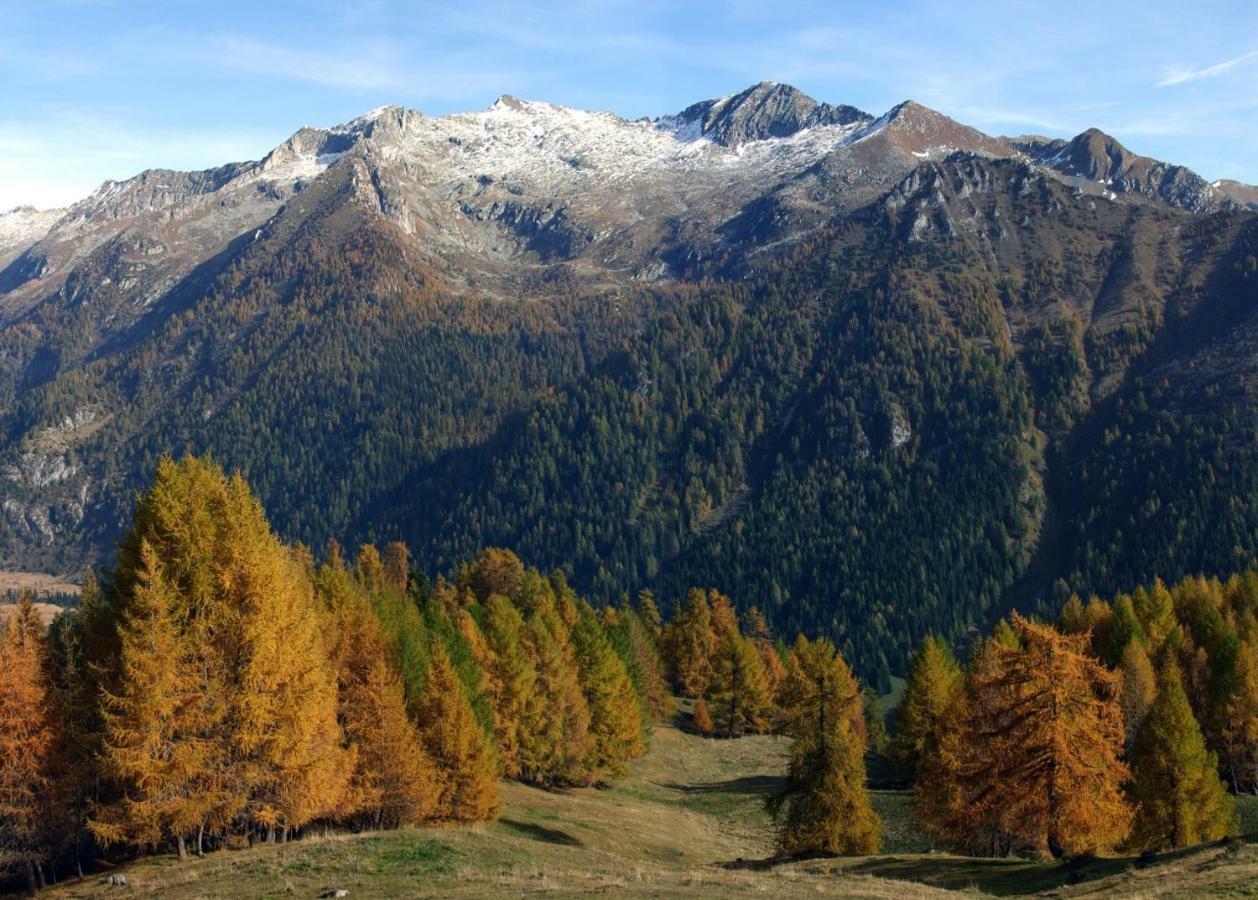Casa Vacanza Pineta Malonno Buitenkant foto