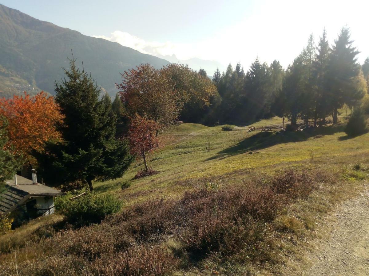 Casa Vacanza Pineta Malonno Buitenkant foto