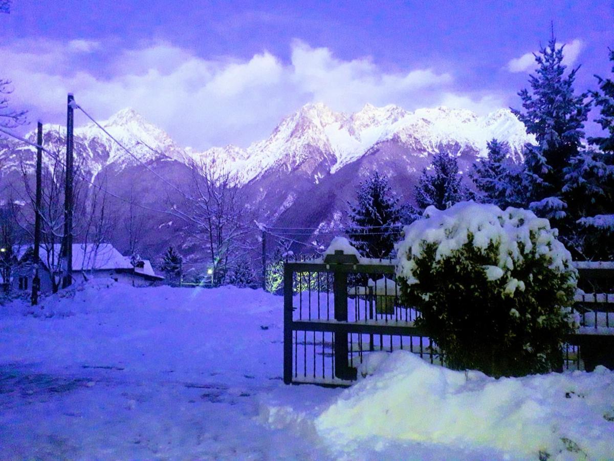 Casa Vacanza Pineta Malonno Buitenkant foto